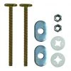 Plumb Works 5/16" X 3-1/2" Brass Toilet Flange Bolts 2 Plumb Works 5/16" X 3-1/2" Brass Toilet Flange Bolts -Plumb Works Shop 6641337